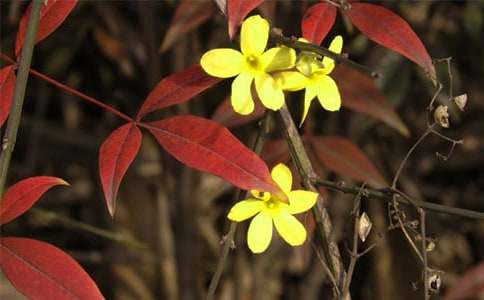 ӭ������΢Ц����