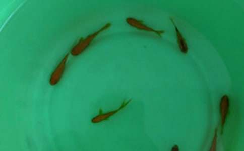 ��(bi��o)��(zh��n)���~��ُ(g��u)�N��ͬ3ƪ