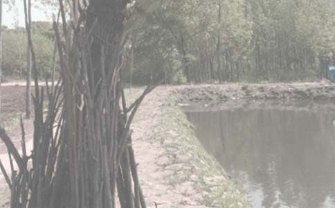 �~���B(y��ng)ֳ�а����κ�ͬ