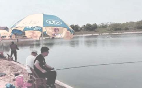 ���l(xi��ng)���~������(�R��6ƪ)