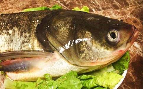 �����۳��~�^�������ģ�ͨ��12ƪ��