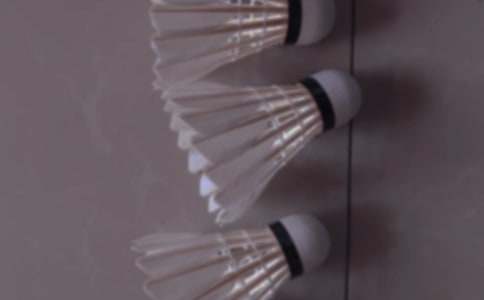 ���ְ֌W����ë������300�֣�ͨ��21ƪ��