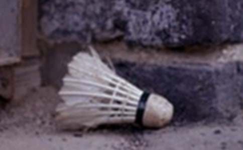 和爸爸打羽毛球的作文