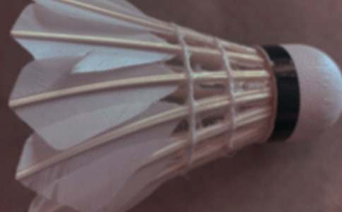 �ҺͰְִ���ë��-���꼉(j��)