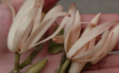 ��(xi��)���m��������700��