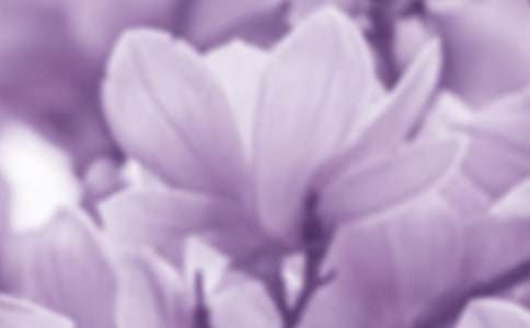 ���P(gu��n)���m��200�ֵ�����