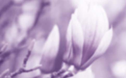 ���m������15ƪ