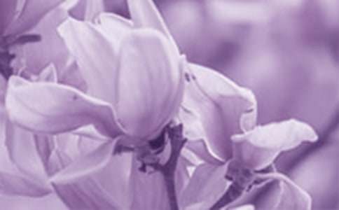 �茑���m��������300��