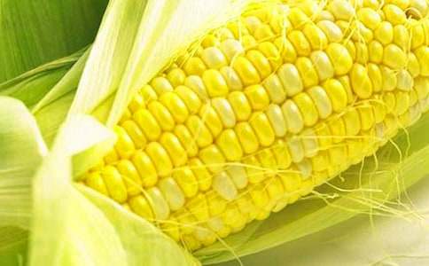 ����������600�֣����x20ƪ��