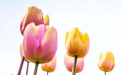 �������^������