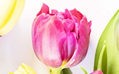 ����������������(12ƪ)