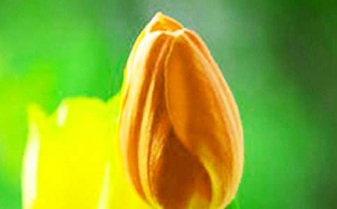 �����㌑������ƪ