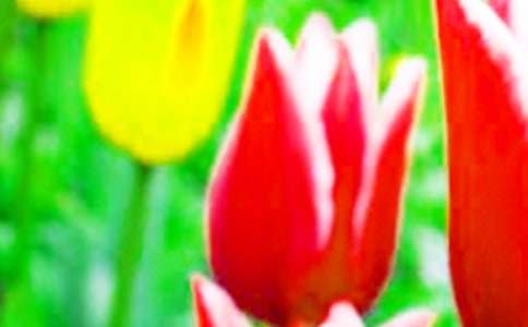 �茑�����������500�֣����x17ƪ��