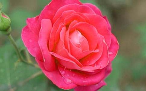 �������¼���Ԓ�}����