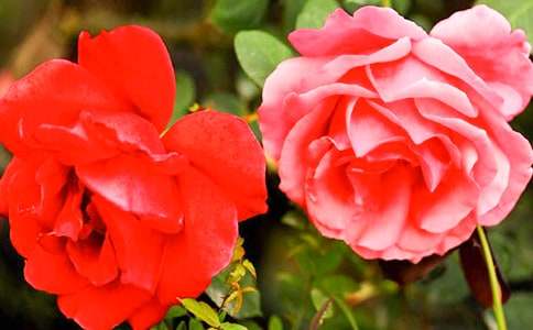 ���P(gu��n)�¼���������400��3ƪ