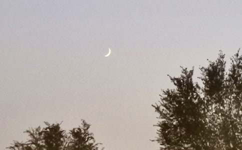 ���P(gu��n)�i���������ğ��i