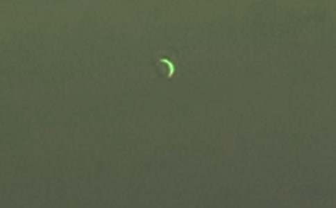 ���������������~�Z(y��)