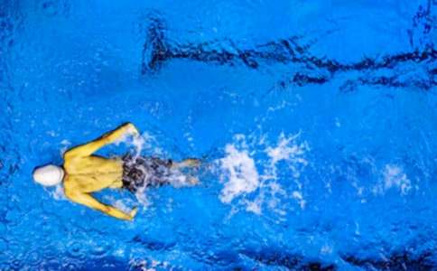 2016�＾���\(y��n)��(d��ng)�T���͸巶��