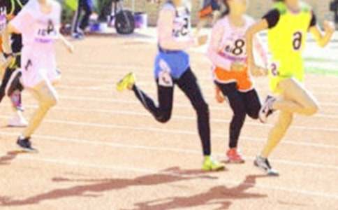 ���x�\(y��n)��(d��ng)�T������300�ֺϼ�6ƪ