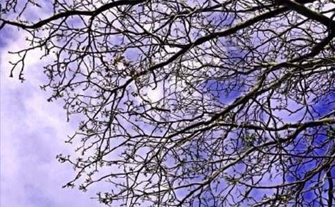 �P�ڂ����簲����40��