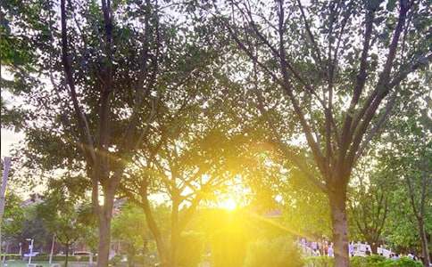 ����(g��)���簲������ͨ��85�䣩