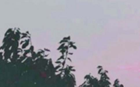 �����]��2020��Ψ�����簲���Z(y��)QQ48��