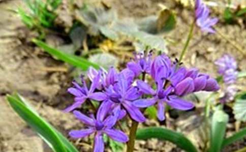 ��(l��)־�簲���Z160��