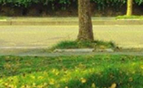 ���P(gu��n)��(g��)���簲���������x175�䣩