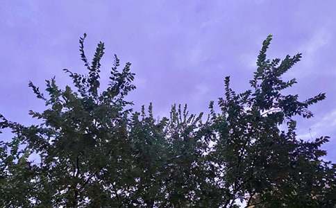 ���̂�(g��)���簲����45�侫�x