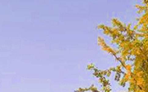 �簲������Z