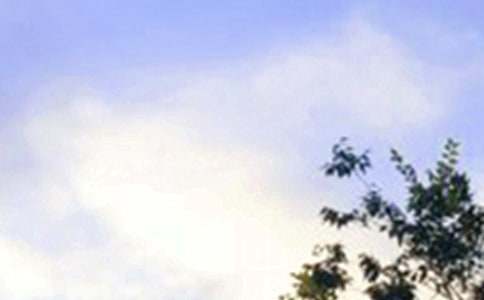 ��(ji��n)�̂�(g��)���簲���Z(y��)55��