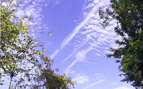 ���P(gu��n)��(g��)���簲������ȫ75��