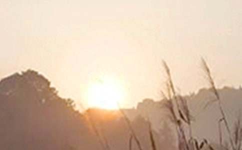 �峿�簲��(ji��n)�s���Z(y��)