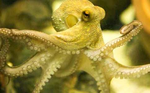 С���~(y��)�ݎ����ķ���