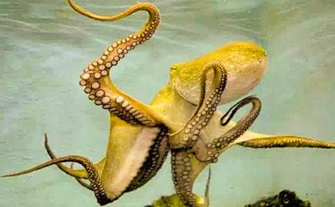 ����ӛ�����~����ͯԒ����900��