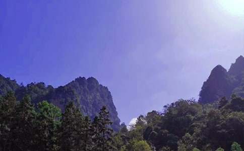 我游張家界作文550字