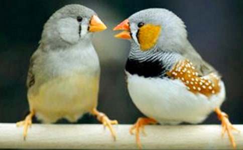 ���؂䡿�����B������ƪ