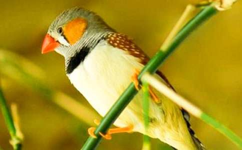 �Ҽҵ������B���ģ�ͨ��75ƪ��