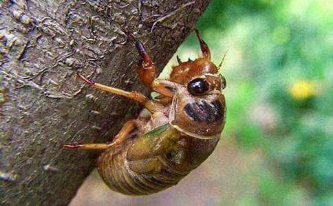 �����֪�˵�Ԣ�Թ��£�ͨ��20ƪ��