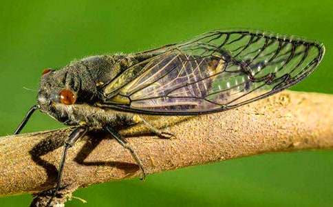 �P(gu��n)��ץ֪��600������