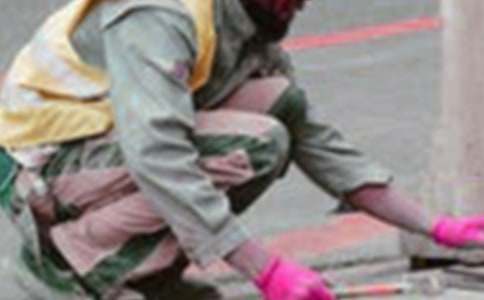 2017�Ї�ʮ���[�θ�н�I(y��)