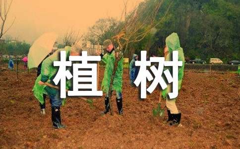 С�W(xu��)�����ҺͰְ�һ��ֲ��