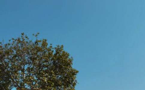 夏天的中午的小學(xué)生作文