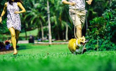 ��ĩȤ������