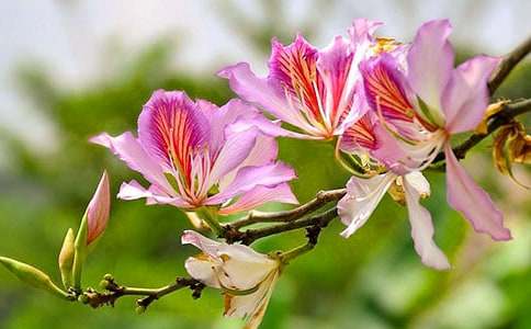 �����G��������500��