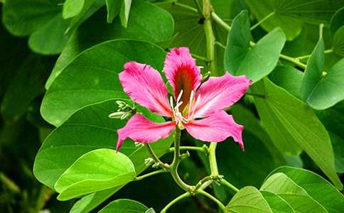 ���G������500�֣����x31ƪ��