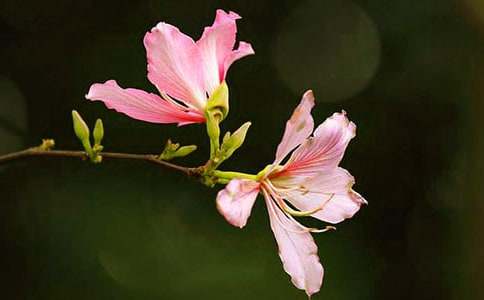 ���G������550��