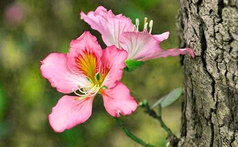 ���G��������400�֣����x43ƪ��