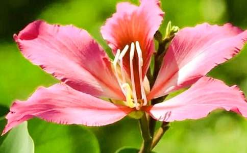 ���G������(15ƪ)