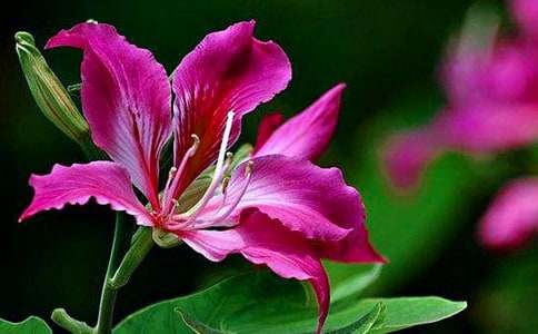 �茑���G������800��